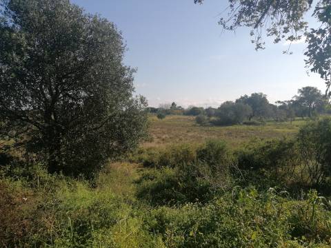 Terreno a poucos minutos de Melides
