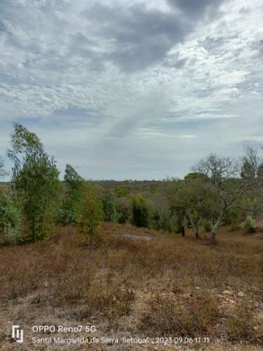 Terreno Rústico