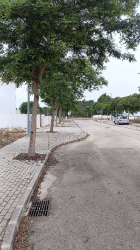 Lote 15 para construção em Melides