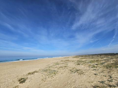 Quinta no litoral alentejano