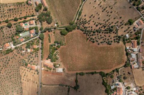 Quinta Agrícola vinícola