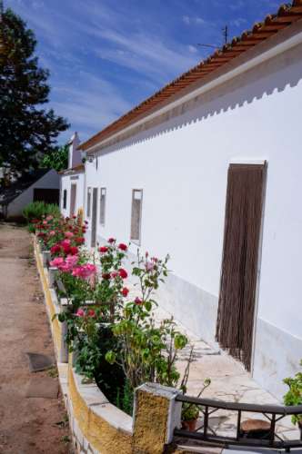 Quinta Agrícola vinícola