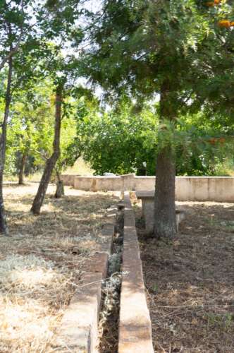 Quinta Agrícola vinícola