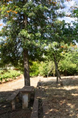 Quinta Agrícola vinícola