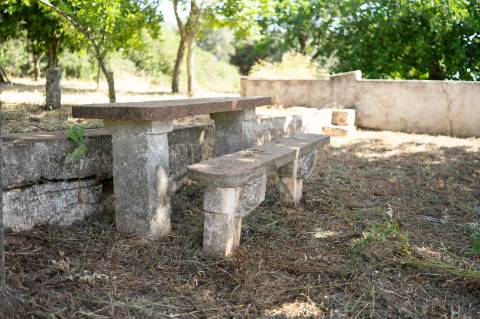 Quinta Agrícola vinícola