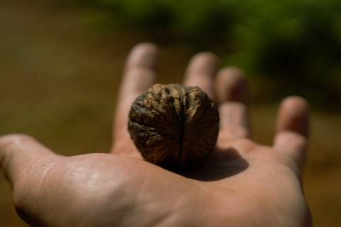 Quinta Agrícola vinícola