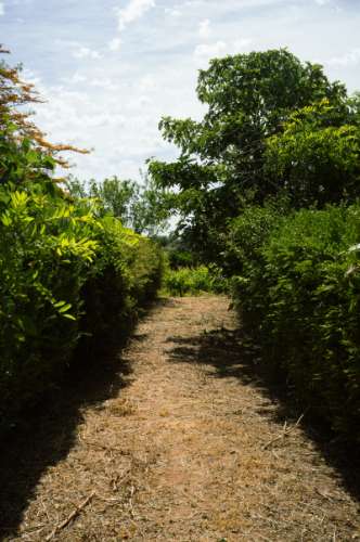 Quinta Agrícola vinícola