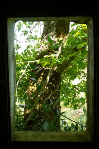 Quinta Agrícola vinícola