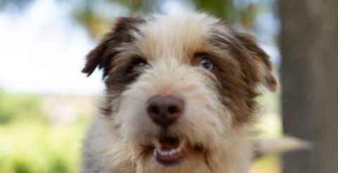 Quinta Agrícola vinícola