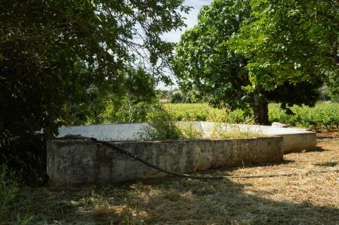 Quinta Agrícola vinícola