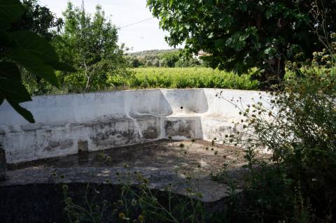 Quinta Agrícola vinícola