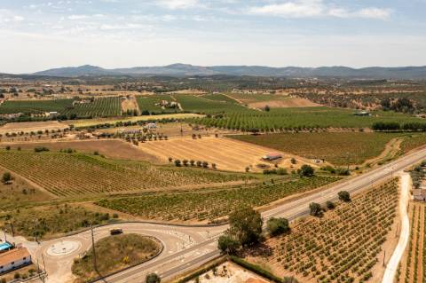 Quinta Agrícola vinícola