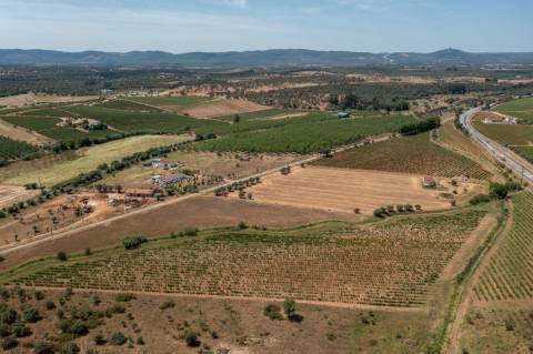 Quinta Agrícola vinícola