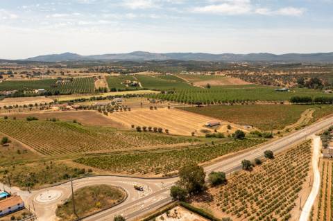 Quinta Agrícola vinícola