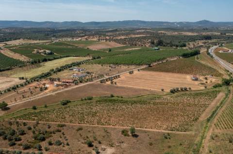 Quinta Agrícola vinícola