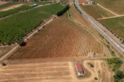 Quinta Agrícola vinícola
