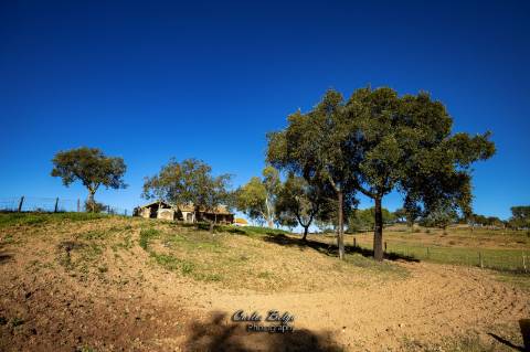 Herdade - 45,5 ha