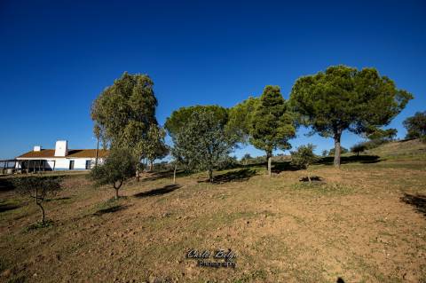 Herdade - 45,5 ha