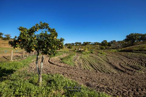 Herdade - 45,5 ha