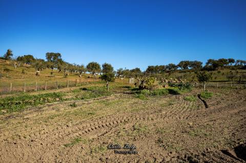 Herdade - 45,5 ha