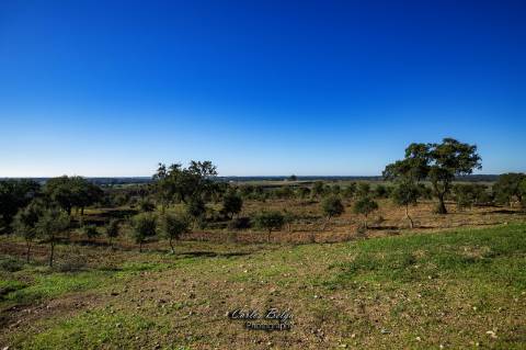 Herdade - 45,5 ha