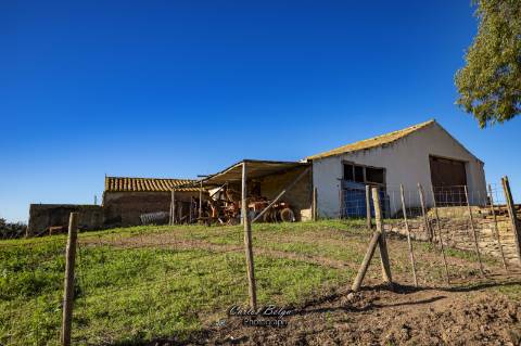 Herdade - 45,5 ha