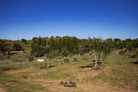 Herdade - 45,5 ha