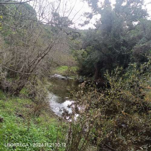 monte na serra do litoral alentejano