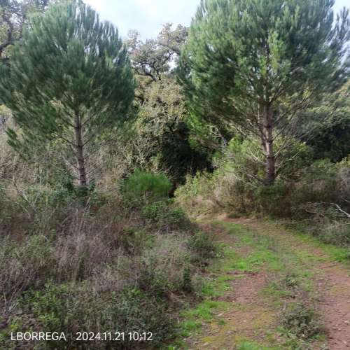 monte na serra do litoral alentejano