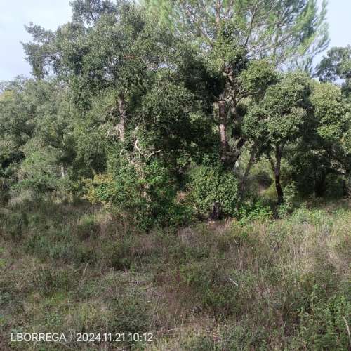 monte na serra do litoral alentejano