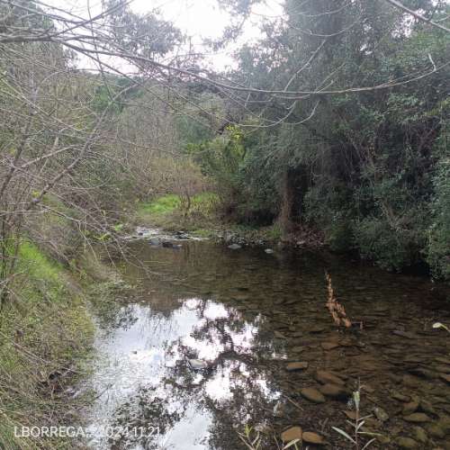 monte na serra do litoral alentejano