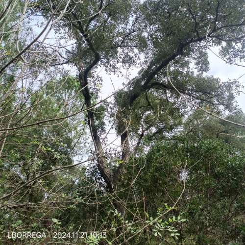 monte na serra do litoral alentejano