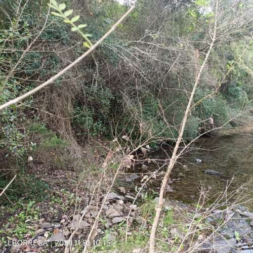 monte na serra do litoral alentejano
