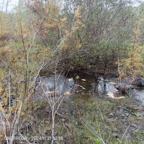 monte na serra do litoral alentejano
