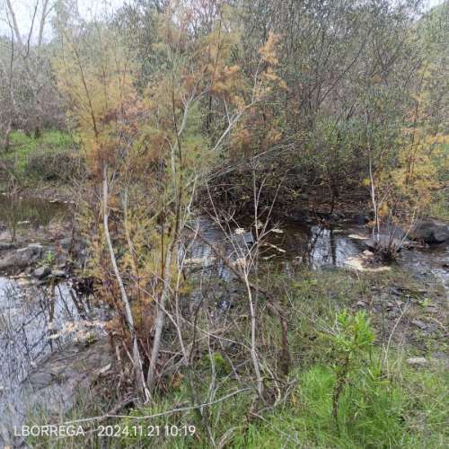 monte na serra do litoral alentejano