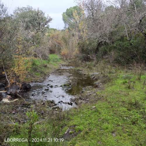 monte na serra do litoral alentejano