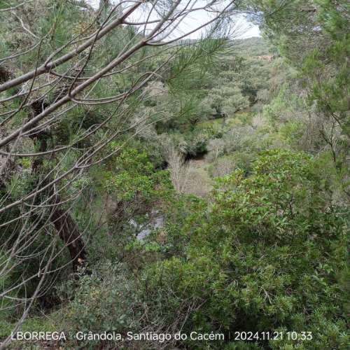 monte na serra do litoral alentejano