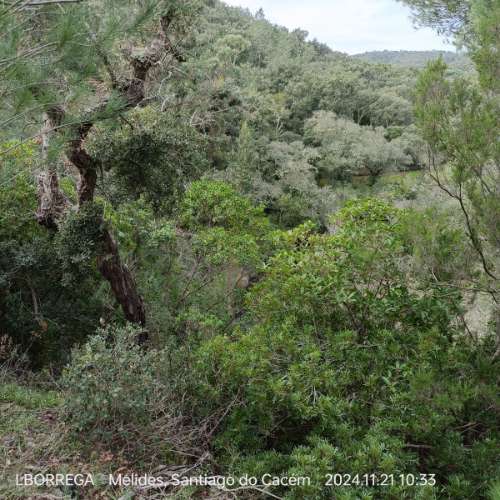 monte na serra do litoral alentejano