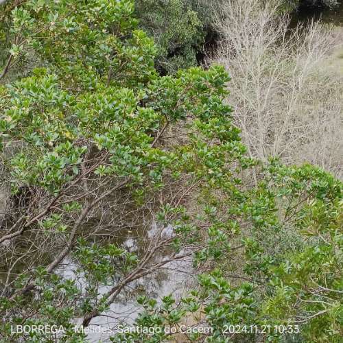 monte na serra do litoral alentejano