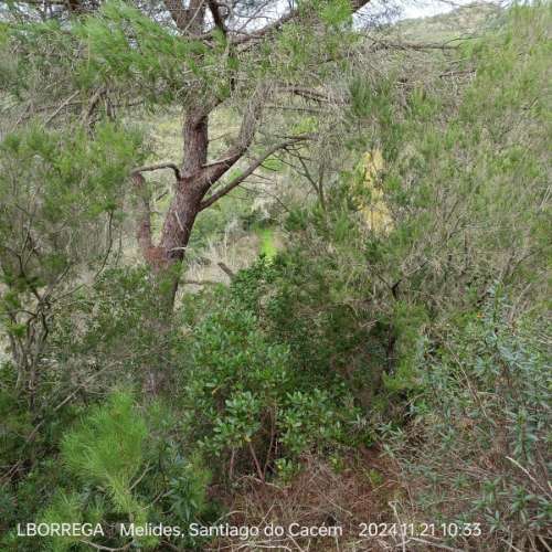 monte na serra do litoral alentejano