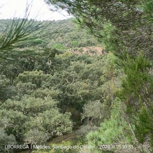 monte na serra do litoral alentejano