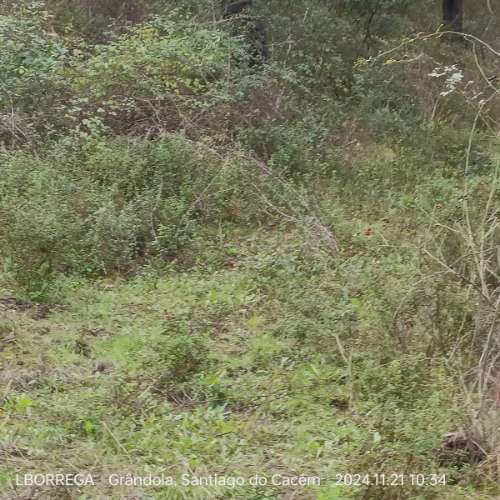 monte na serra do litoral alentejano