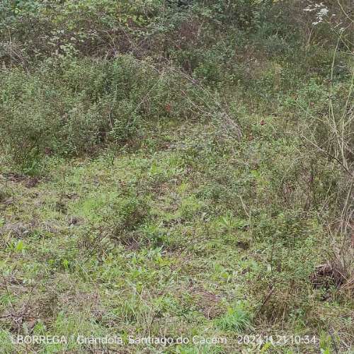 monte na serra do litoral alentejano