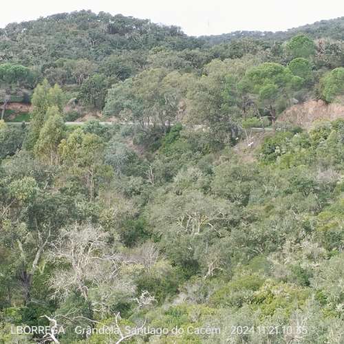 monte na serra do litoral alentejano