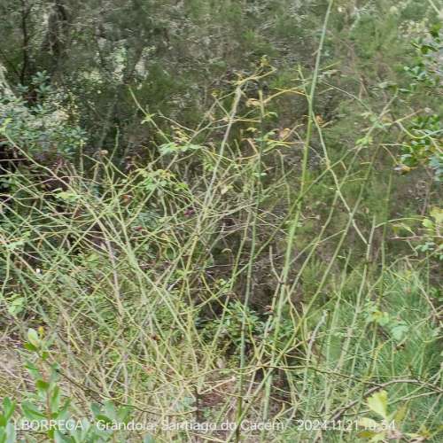 monte na serra do litoral alentejano