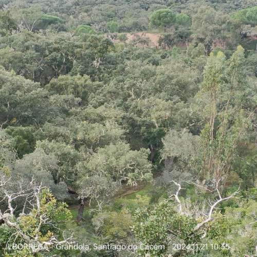 monte na serra do litoral alentejano