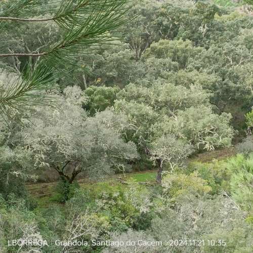 monte na serra do litoral alentejano