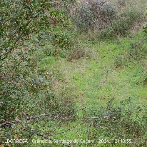 monte na serra do litoral alentejano