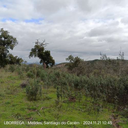 monte na serra do litoral alentejano