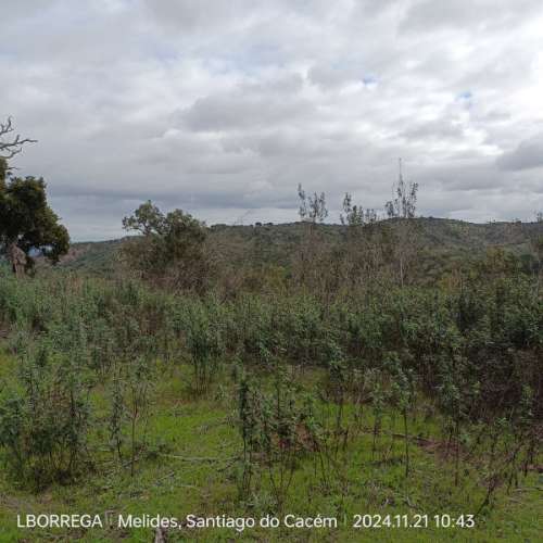 monte na serra do litoral alentejano